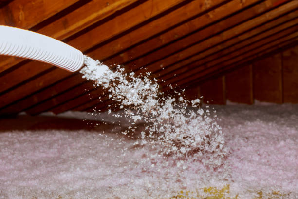 Best Garage Insulation Installation  in Ripon, WI