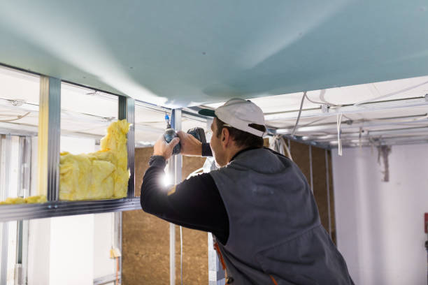 Best Attic Insulation Installation  in Ripon, WI