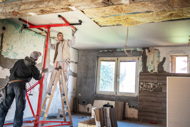Best Commercial Insulation Contractor  in Ripon, WI