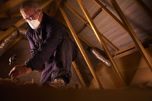 Best Insulation Contractor Near Me  in Ripon, WI
